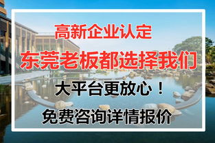 東莞高新認(rèn)定 科技中介服務(wù)助力企業(yè)高質(zhì)量發(fā)展